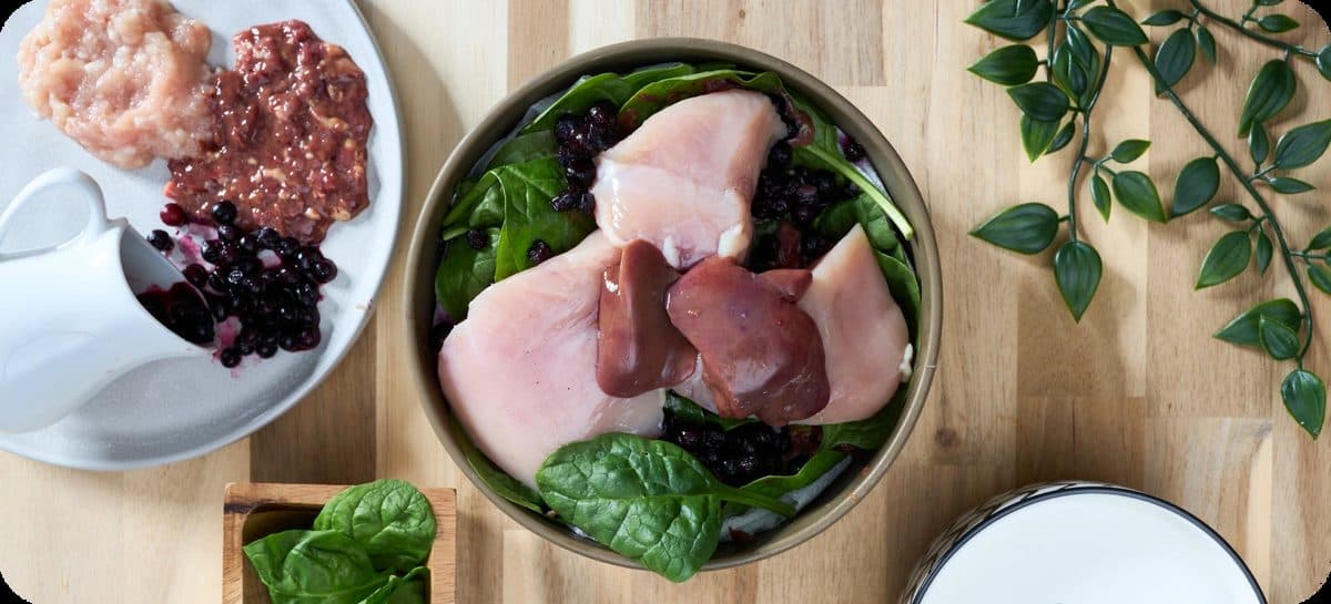 Fresh-cooked food for your dog